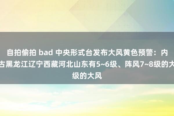 自拍偷拍 bad 中央形式台发布大风黄色预警：内蒙古黑龙江辽宁西藏河北山东有5~6级、阵风7~8级的大风