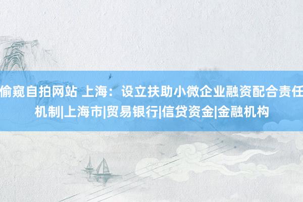 偷窥自拍网站 上海：设立扶助小微企业融资配合责任机制|上海市|贸易银行|信贷资金|金融机构