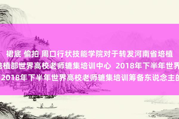 裙底 偷拍 周口行状技能学院对于转发河南省培植厅办公室  对于公布培植部世界高校老师辘集培训中心  2018年下半年世界高校老师辘集培训筹备东说念主的见告