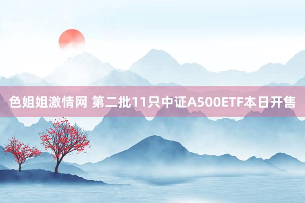 色姐姐激情网 第二批11只中证A500ETF本日开售