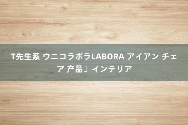 T先生系 ウニコ　ラボラ　LABORA アイアン チェア 产品・インテリア