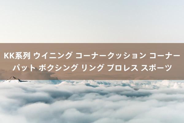 KK系列 ウイニング コーナークッション コーナーパット ボクシング リング プロレス スポーツ